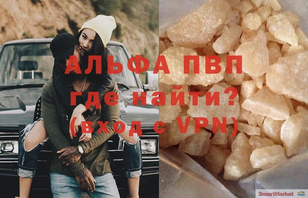 гашик Няндома