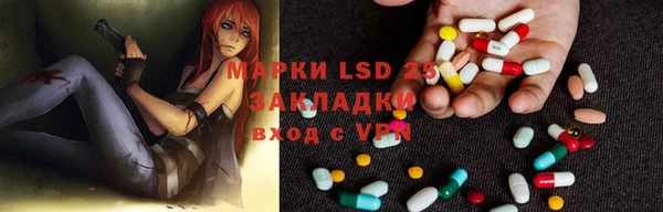 гашик Няндома