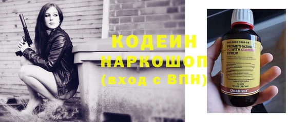 гашик Няндома