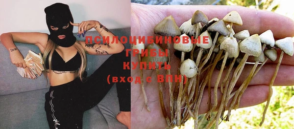 гашик Няндома
