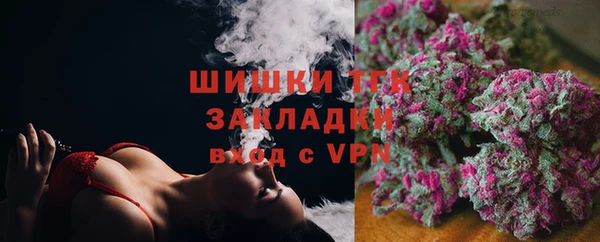 ALPHA PVP Новозыбков