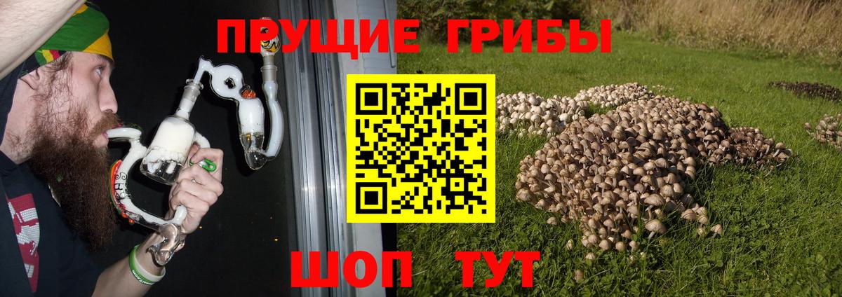 Набережные Челны  Галлюциногенные грибы ЛСД  Вход с VPN 