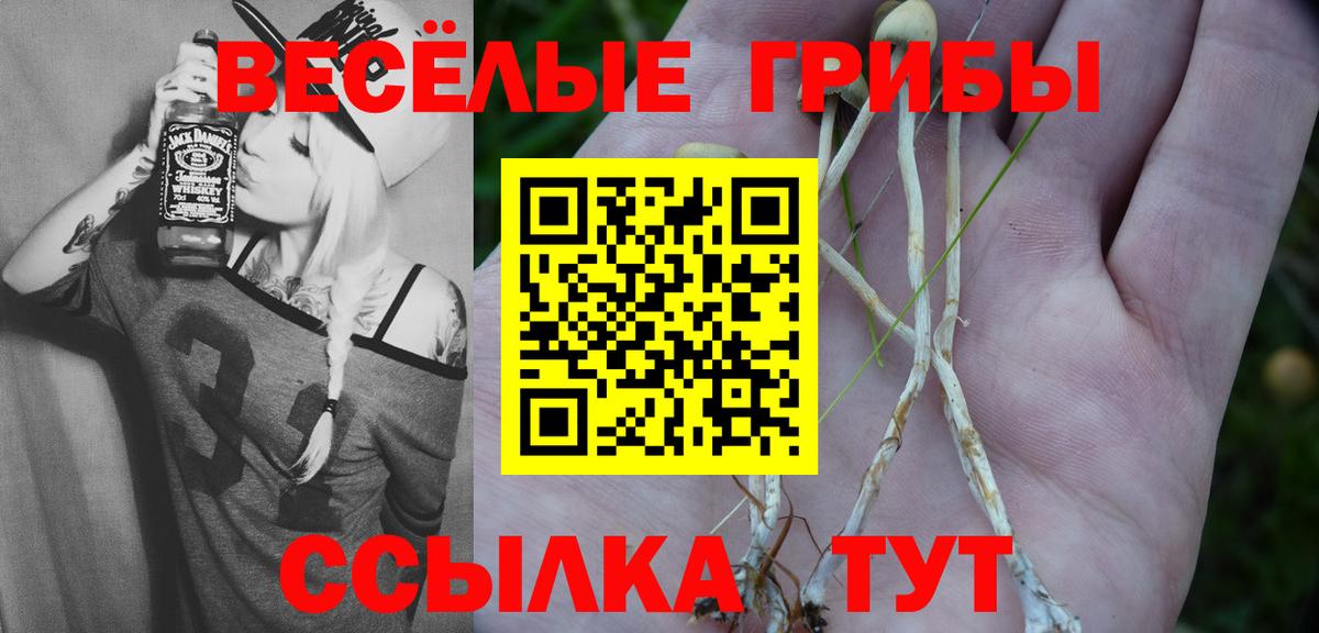 Псилоцибиновые грибы ЛСД Набережные Челны