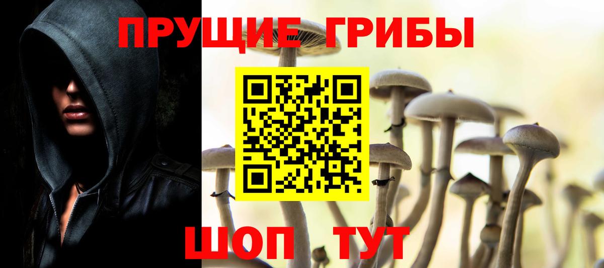 Псилоцибиновые грибы мицелий  Псилоцибиновые грибы Psilocybe  Набережные Челны 
